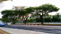 Blk 406A Fernvale Road (Sengkang), HDB 4 Rooms #101150602